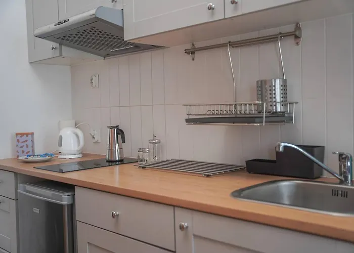 Brick & Centrum Lejlighed Łódź